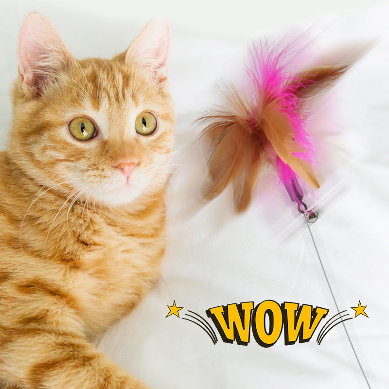 Interactive Cat Collar Toy