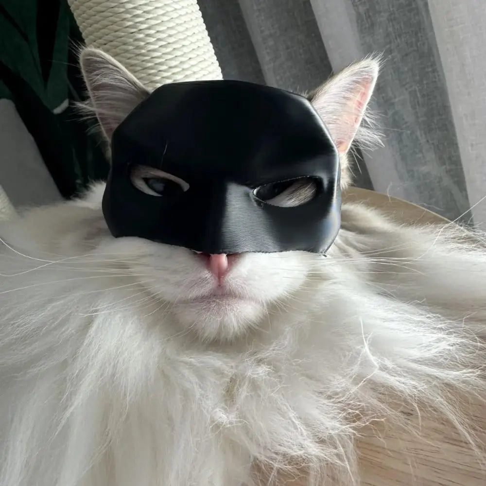 BatCat: Batman Mask For Cats