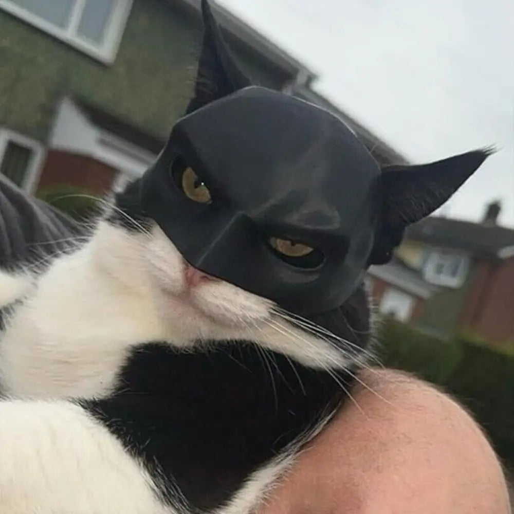 BatCat: Batman Mask For Cats